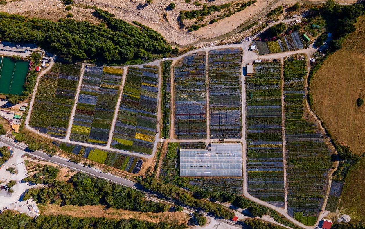 Περιβαλλοντική αποκατάσταση Ολυμπιάδας από το αποτύπωμα προγενέστερης δραστηριότητας 